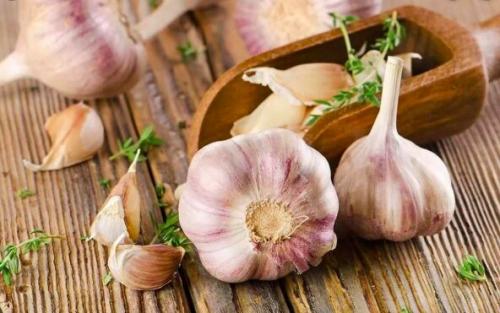 Пятерка лучших природных антибиотиков. 02 Пятерка лучших природных антибиотиков. 02