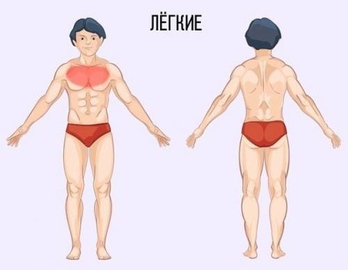 Полезный совет - как определить причину боли по месту ее локализации. 06