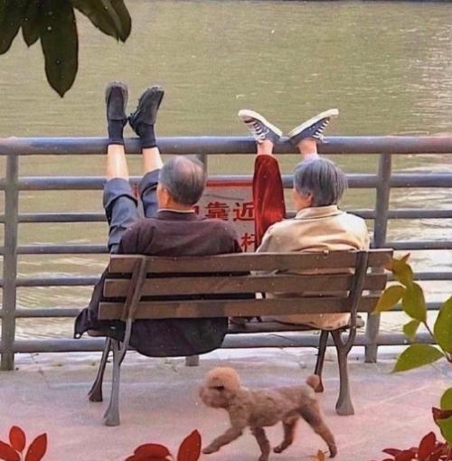 Почему старость всегда ассоциируют с кресло качалкой возле камина? 03