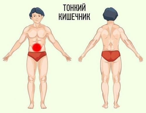 Полезный совет - как определить причину боли по месту ее локализации. 01