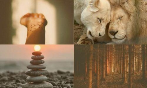 Композиционное вдохновение для фотографа. 09