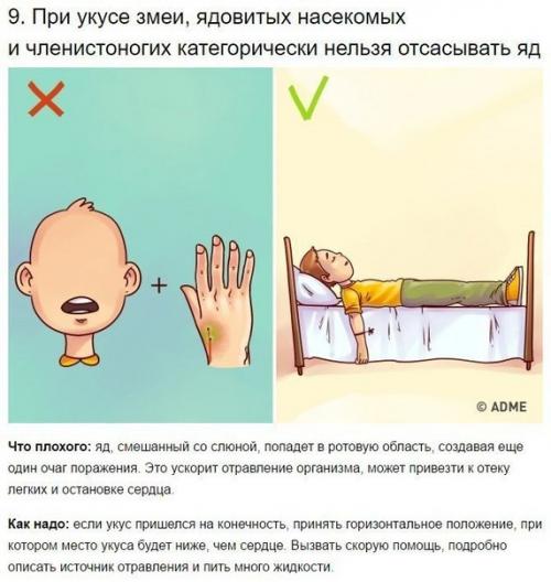 День на ура прошёл! 08