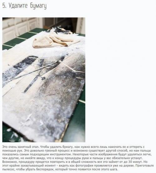 Как перенести фотографию на дерево? 04 Как перенести фотографию на дерево? 04