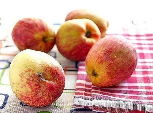 Очень вкусная шарлотка - лентяйка. 01