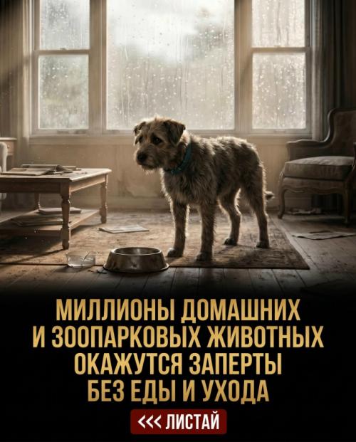 Что произойдет с нашей планетой, если человечество внезапно исчезнет? 03