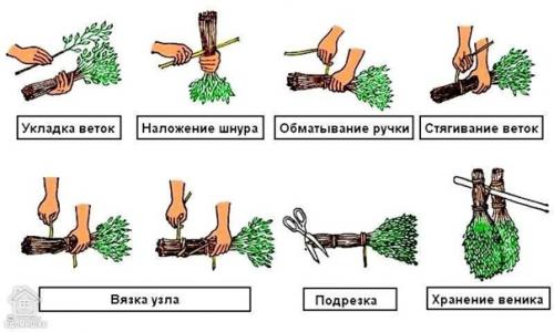 Какие веники лучше для бани заготовить. 04 Какие веники лучше для бани заготовить. 04