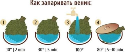 Какие веники лучше для бани заготовить. 07 Какие веники лучше для бани заготовить. 07