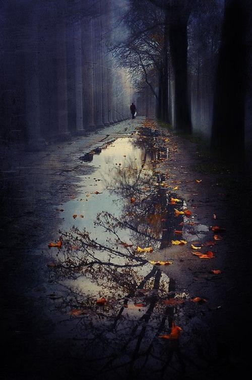 4 полезных совета по съемке отражений! 04 4 полезных совета по съемке отражений! 04