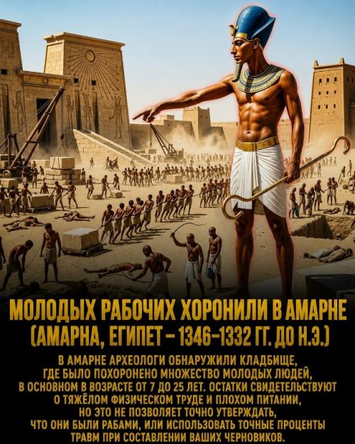 Жестокая реальность древнего Египта намного страшнее школьных учебников оказалась. 01