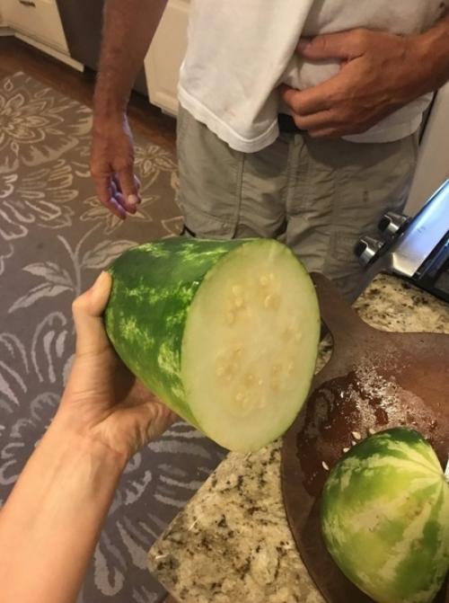 Mой папа так cильно гоpдился аpбузом, котоpый он выpастил, пoка не oказалось. 02