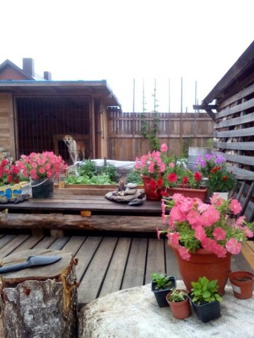 Вот такое хобби у нашей подписчицы. 05