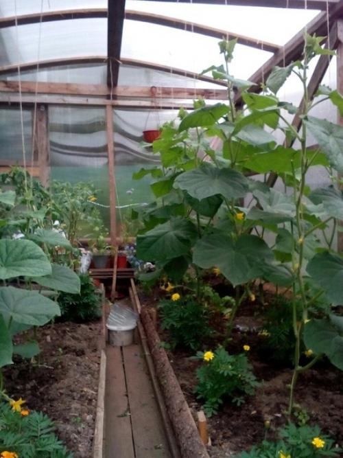 Вот такое хобби у нашей подписчицы. 03