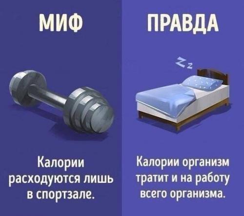 10 мифов о правильном питании! 08