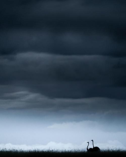 Очищение почек: простой и эффективный способ. 03 Очищение почек: простой и эффективный способ. 03