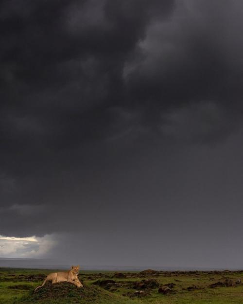 Очищение почек: простой и эффективный способ. 05 Очищение почек: простой и эффективный способ. 05