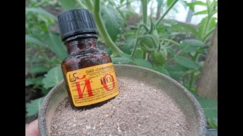 Для чегo я cтавлю пузыpeк с йодом в теплице и так делают многие успешные дачники. 02