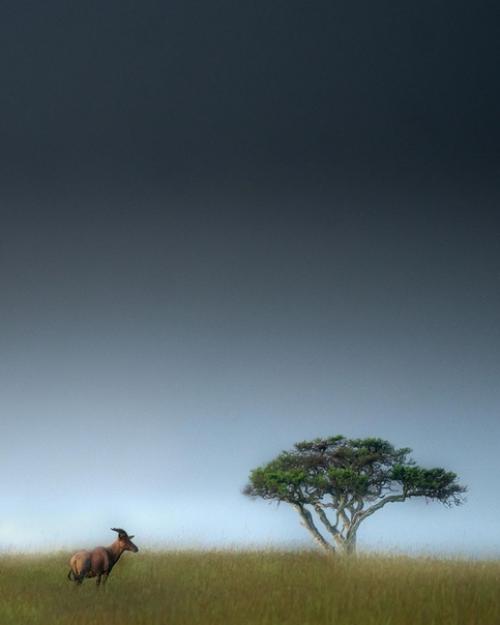 Очищение почек: простой и эффективный способ. 01 Очищение почек: простой и эффективный способ. 01