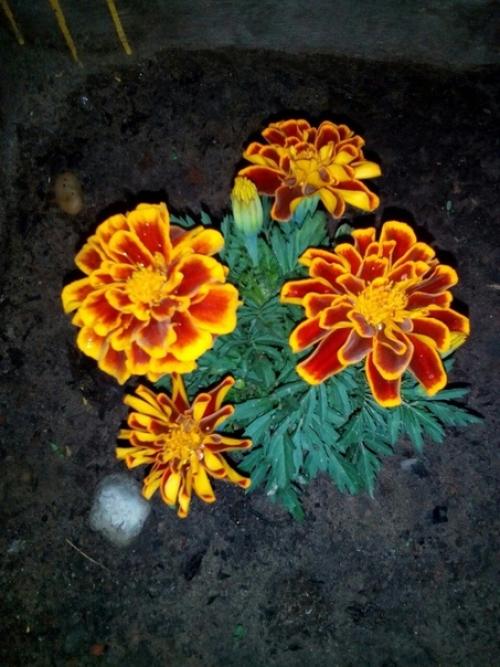 Вот такое хобби у нашей подписчицы. 04