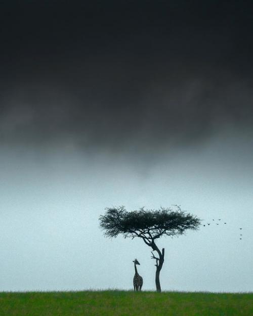 Очищение почек: простой и эффективный способ. 04 Очищение почек: простой и эффективный способ. 04