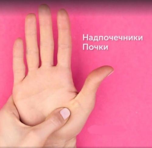 5 активных точек на ладонях, которые управляют организмом. 04