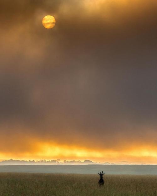 Очищение почек: простой и эффективный способ. 02 Очищение почек: простой и эффективный способ. 02