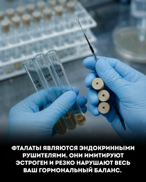 Лаконичная надпись на этикетке парфюма десятки веществ скрывает. 03