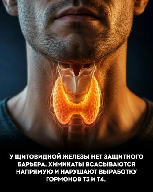 Лаконичная надпись на этикетке парфюма десятки веществ скрывает. 02