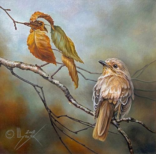 Фишки сторис которые ты не знал. 01 Фишки сторис которые ты не знал. 01