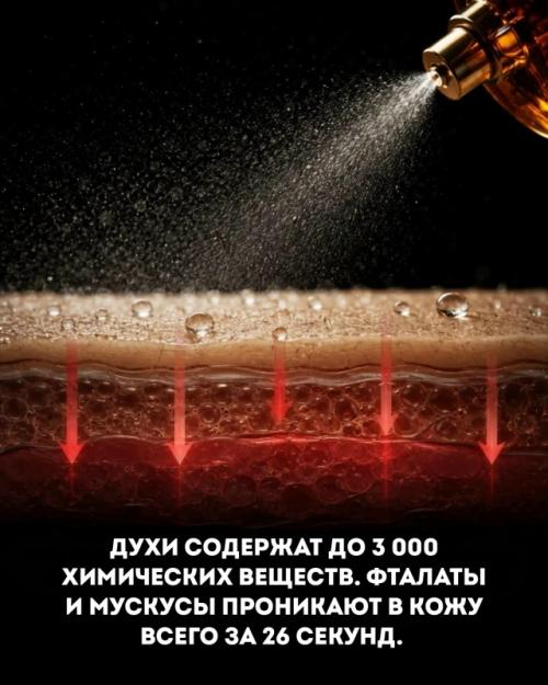 Лаконичная надпись на этикетке парфюма десятки веществ скрывает. 01