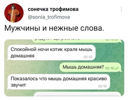 Твиттота - самый крупный агрегатор русскоязычных твитов. 03