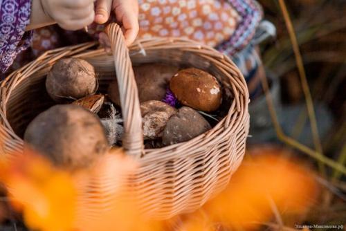 Маленький гномик в осеннем лесу =. 01
