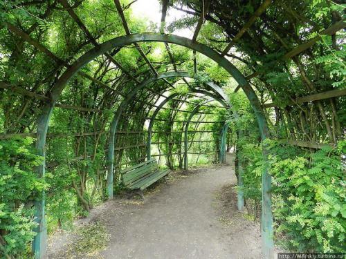 Берсо - зеленая аллея с крытым сводом. 02