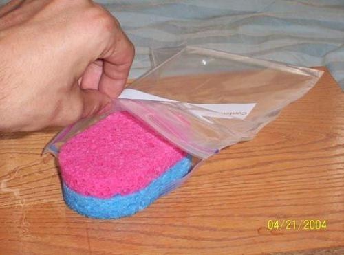 Как прорастить семена за сутки. 02 Как прорастить семена за сутки. 02