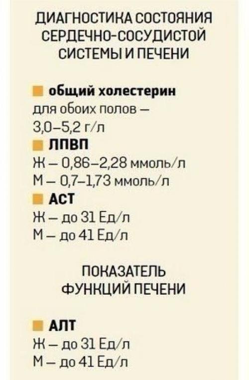 О чем расскажет анализ крови? 05