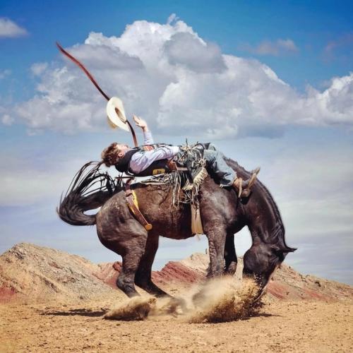 Настоящие ковбои - укротители мустангов в работах техасского фотографа Steve Wrubel. 06