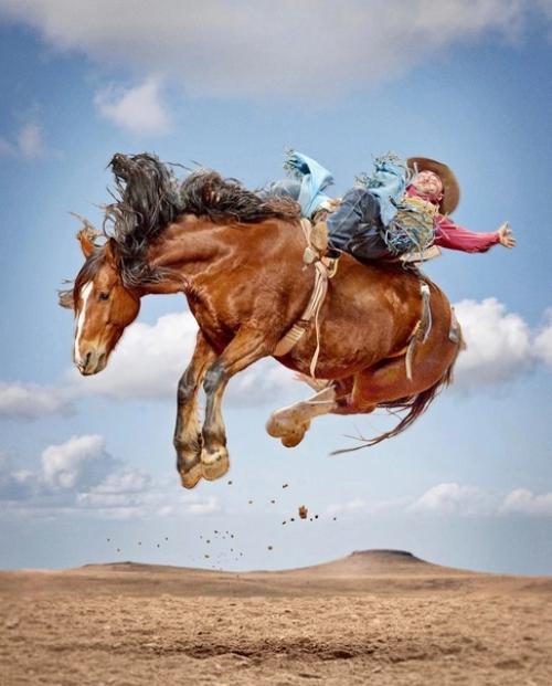 Настоящие ковбои - укротители мустангов в работах техасского фотографа Steve Wrubel. 03
