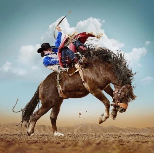 Настоящие ковбои - укротители мустангов в работах техасского фотографа Steve Wrubel. 05