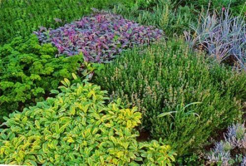 Красивый огород своими руками - как сделать красивые грядки! 02