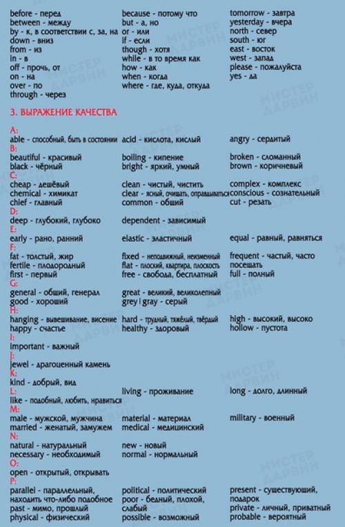 850 самых необходимых английских слов. 06