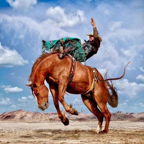 Настоящие ковбои - укротители мустангов в работах техасского фотографа Steve Wrubel. 08