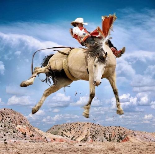 Настоящие ковбои - укротители мустангов в работах техасского фотографа Steve Wrubel. 07