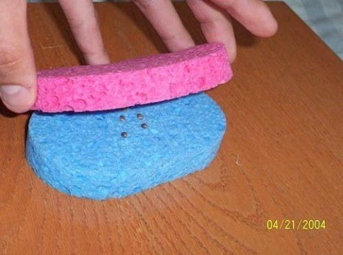 Как прорастить семена за сутки. 01 Как прорастить семена за сутки. 01