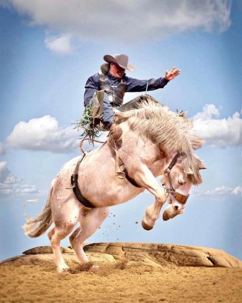 Настоящие ковбои - укротители мустангов в работах техасского фотографа Steve Wrubel. 01