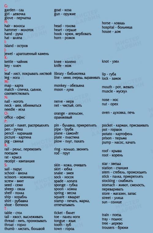 850 самых необходимых английских слов. 05