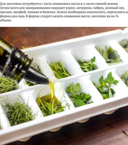 Хитрый способ замораживания ароматных трав. 01