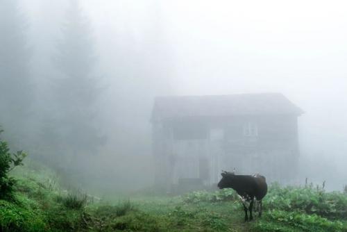 Аутентичные кадры самобытных грузинских деревень, в которых ход времени остановился. 08