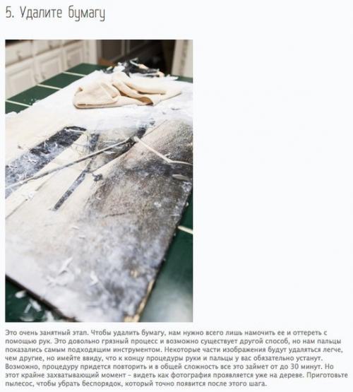 Как перенести фотографию на дерево? 02 Как перенести фотографию на дерево? 02