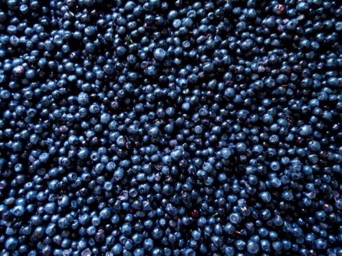 9 продуктов для щитовидной железы. 07