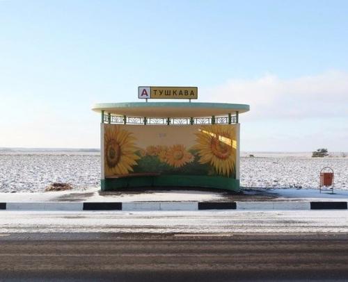 Они должны быть красивыми. 01