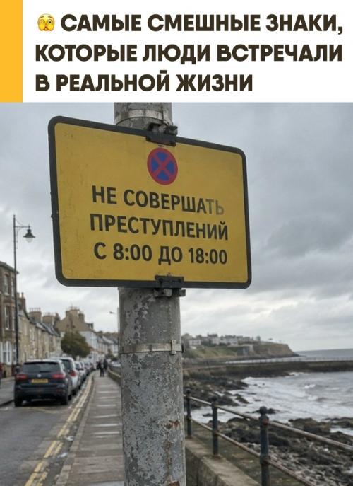 Общественные пространства окончательно шедевры непреднамеренного уличного идиотизма захватили. 

